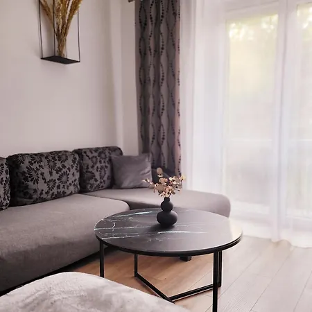 アパート Apartament Ktw Spodek - Sokolska カトヴィツェ