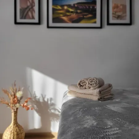 アパート Apartament Ktw Spodek - Sokolska